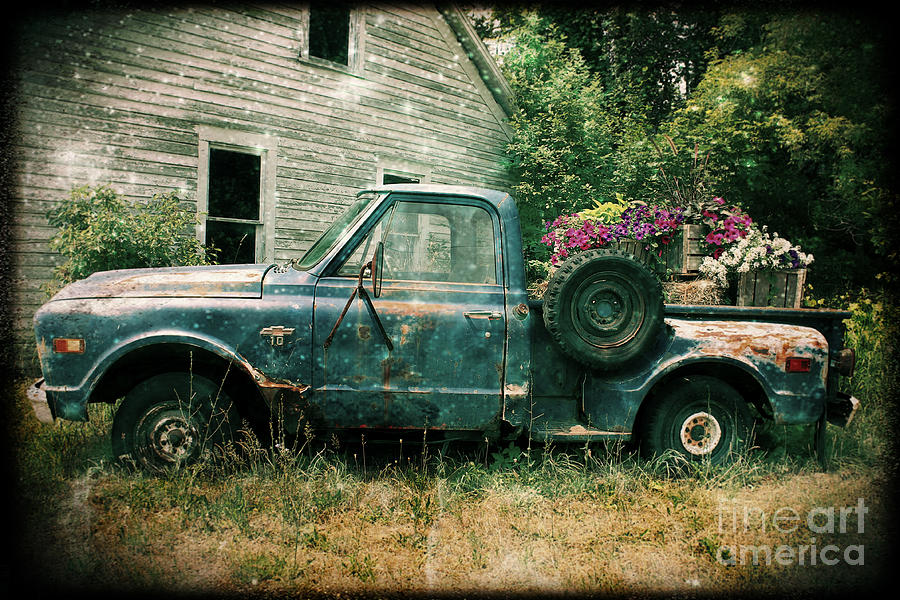 Magical Planter - Old Truck Photograph by Nikki Vig