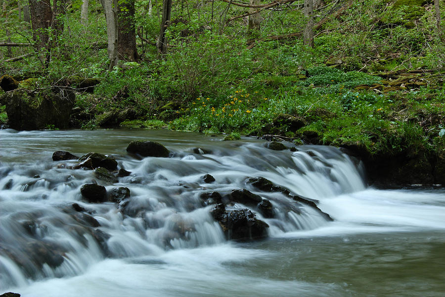 Magical River Photograph by Julie Andel