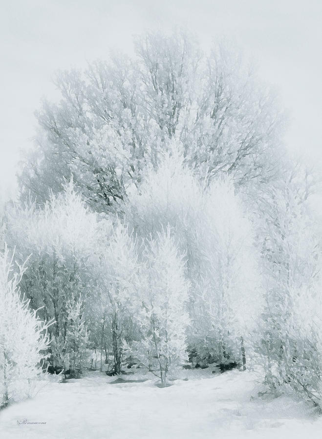 Nature Photograph - Magical Snow Palace by Georgiana Romanovna