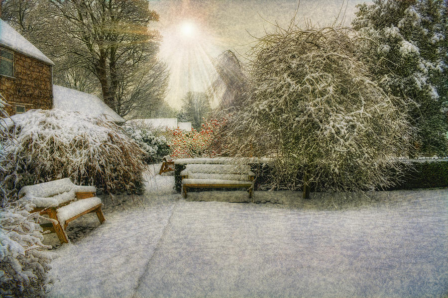 Magical Snowy Garden Photograph by Ian Mitchell