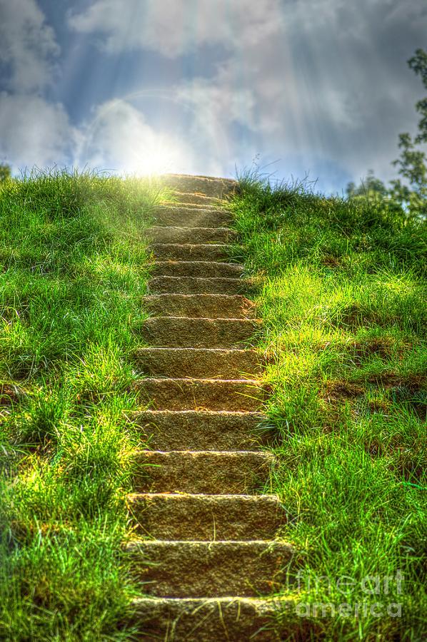 Nature Photograph - Magical Stairway  by Peggy Franz