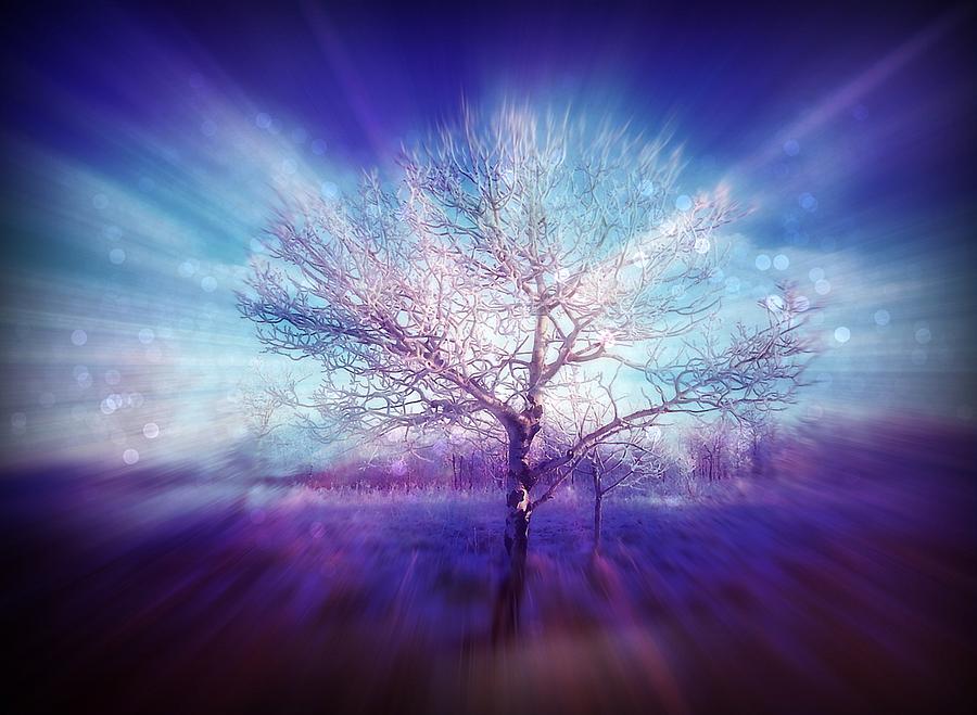 Tree Digital Art - Magical winter landscape by Lilia S