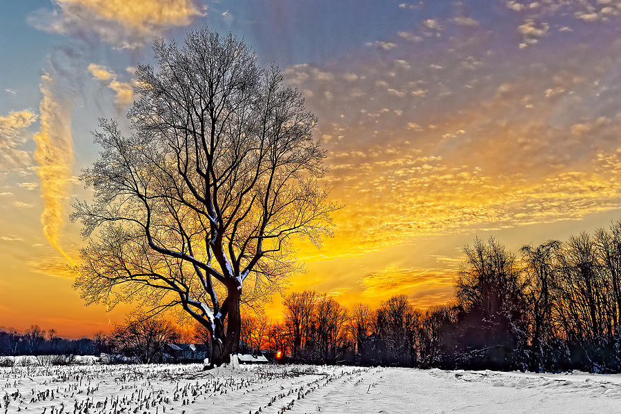 Magical Winter Sunset Photograph by William Jobes