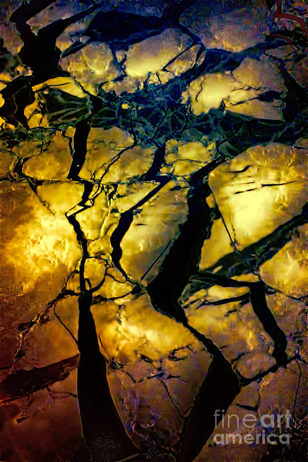 Magical Yellow 2 by Karla Weber Magical Yellow 2 by Karla Weber