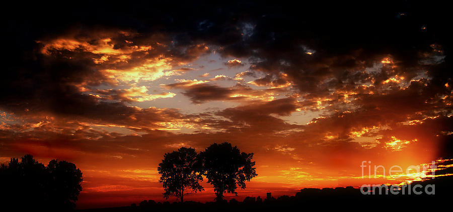 Tree Photograph - Magistic Sunrise On Farm by Scott Bennett
