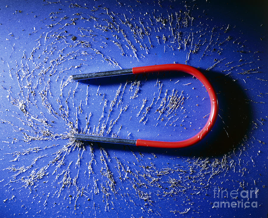 Magnet And Metal Filings Photograph by Dorling Kindersley Magnet And Metal Filings Photograph by Dorling Kindersley