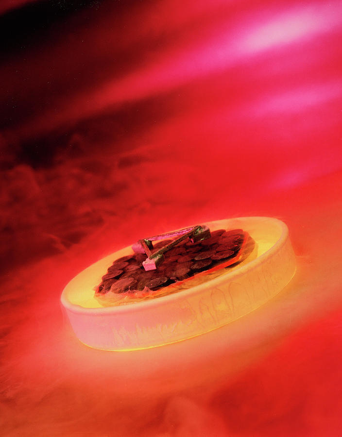 Superconductor Photograph - Magnetic Levitation by Lawrence Berkeley Laboratory/science Photo Library