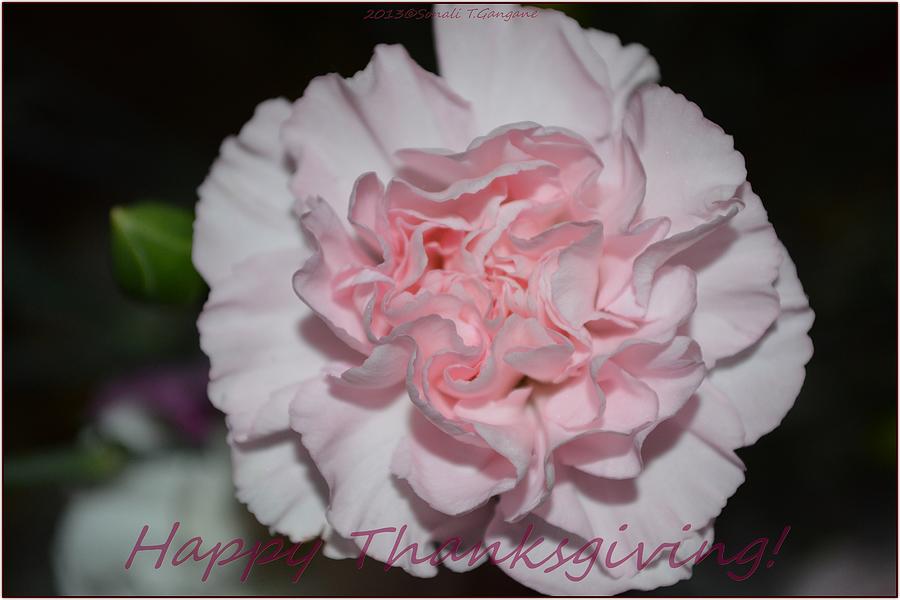 Thanksgiving Photograph - Magnetic Pink by Sonali Gangane