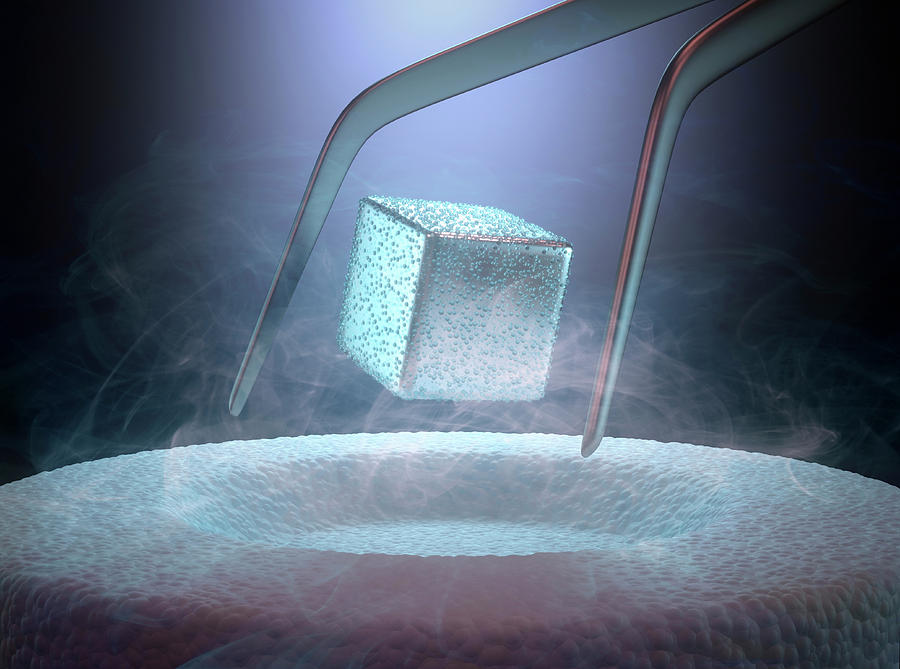 Magnetism Photograph by Science Photo Library Magnetism Photograph by Science Photo Library