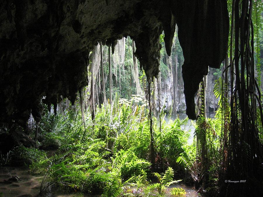 Nature Photograph - Magnificent Caves of the Dominican Republic by Hemu Aggarwal