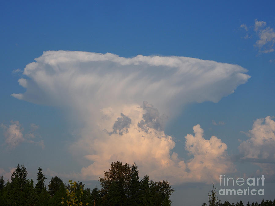 Magnificent Cloud Photograph by Jacklyn Duryea Fraizer