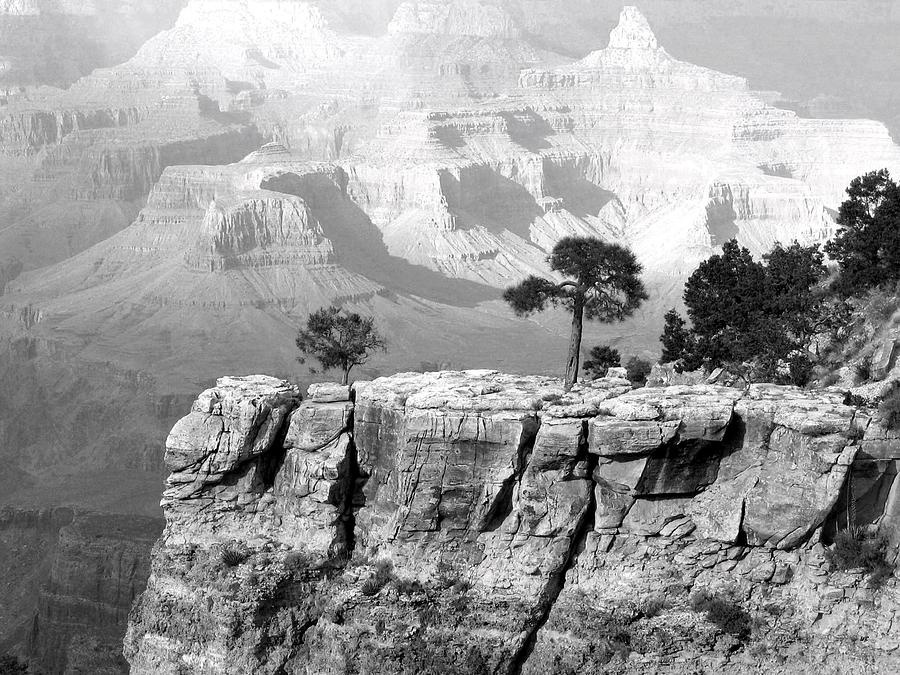Magnificent Grand Canyon Photograph by Will Borden