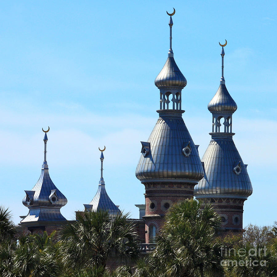 Tampa Photograph - Magnificent Minarets by Carol Groenen