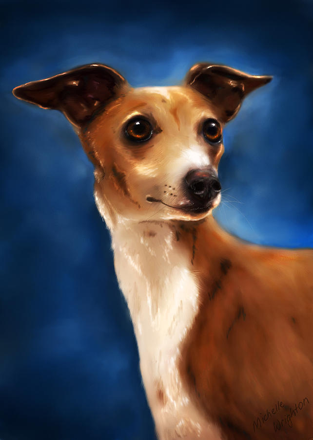 Dog Painting - Magnifico - Italian Greyhound by Michelle Wrighton