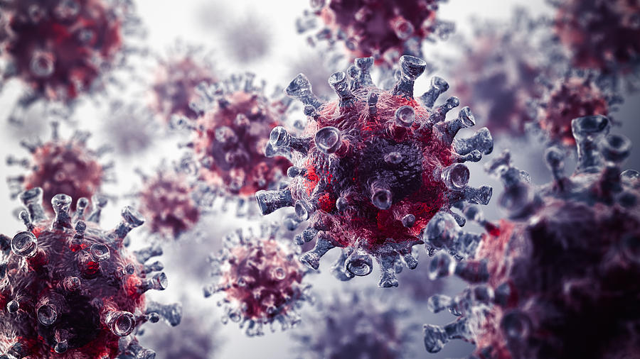 Magnified view of red and white virus cells Photograph by BlackJack3D