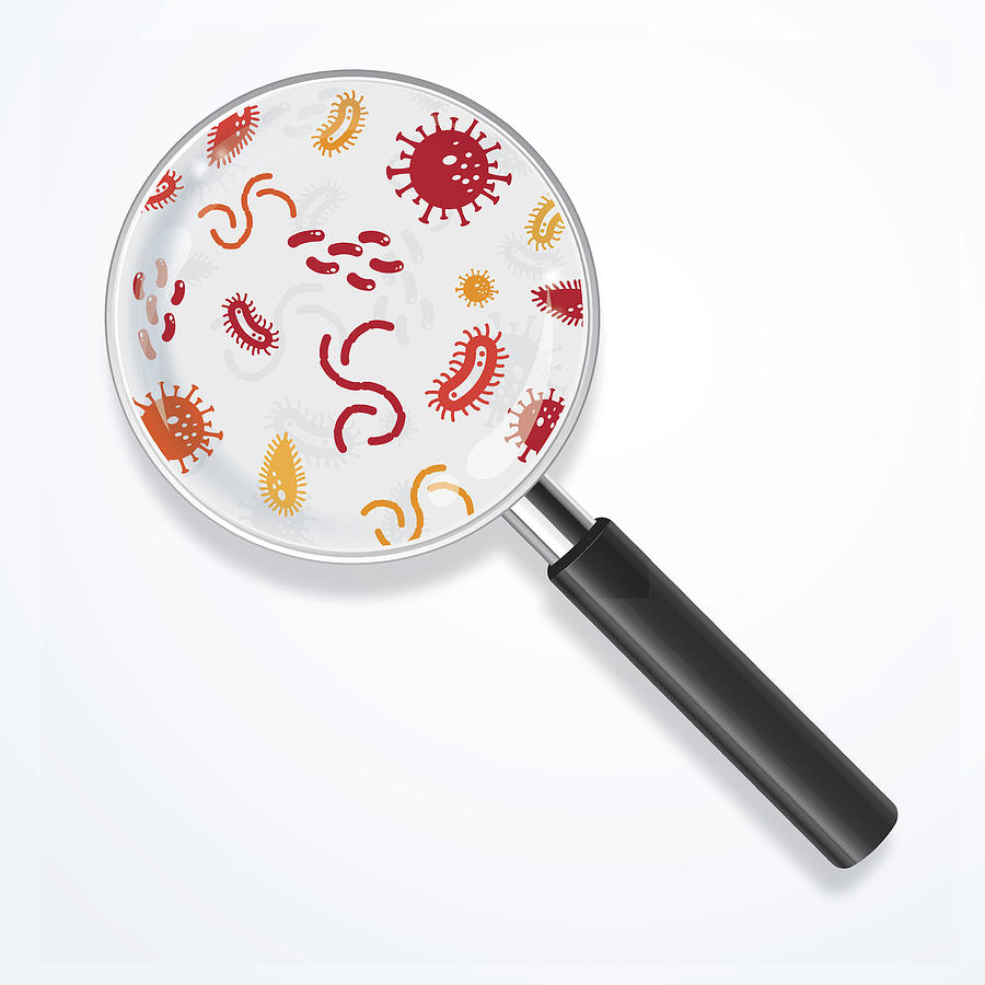 Magnifying lens illustration with viruses Drawing by Mustafahacalaki