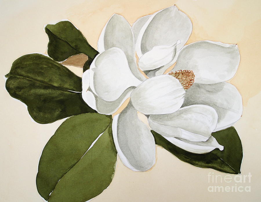 Magnolia Bloom Painting by Nancy Kane Chapman