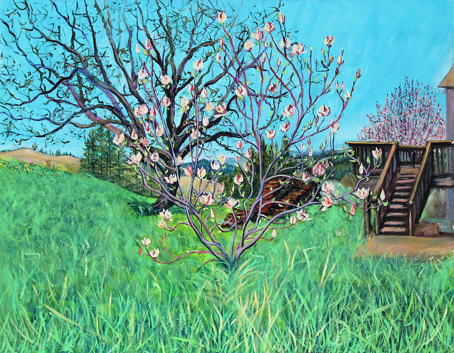 Magnolia Blooming at the Farm Painting by Asha Carolyn Young