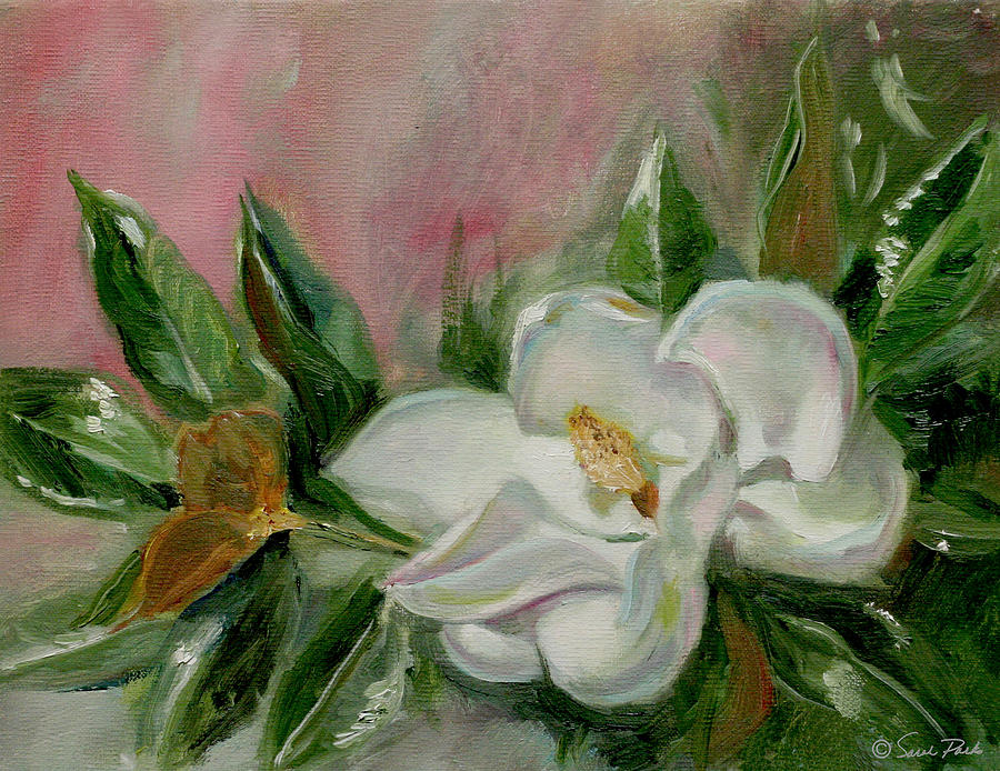 Magnolia Blossom Painting by Sarah Parks