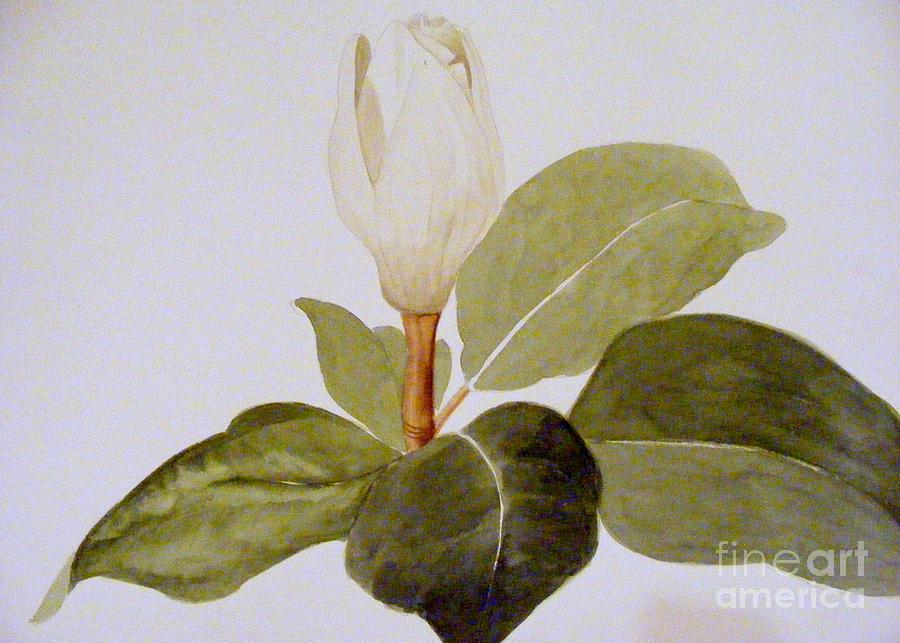Magnolia Bud II Painting by Nancy Kane Chapman