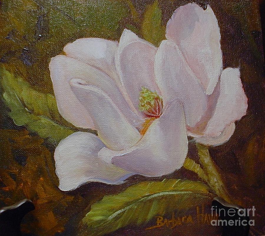 Magnolia by Barbara Haviland Painting by Barbara Haviland