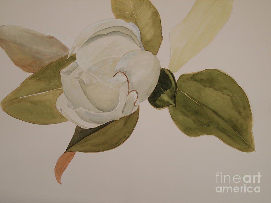 Magnolia California Painting by Nancy Kane Chapman