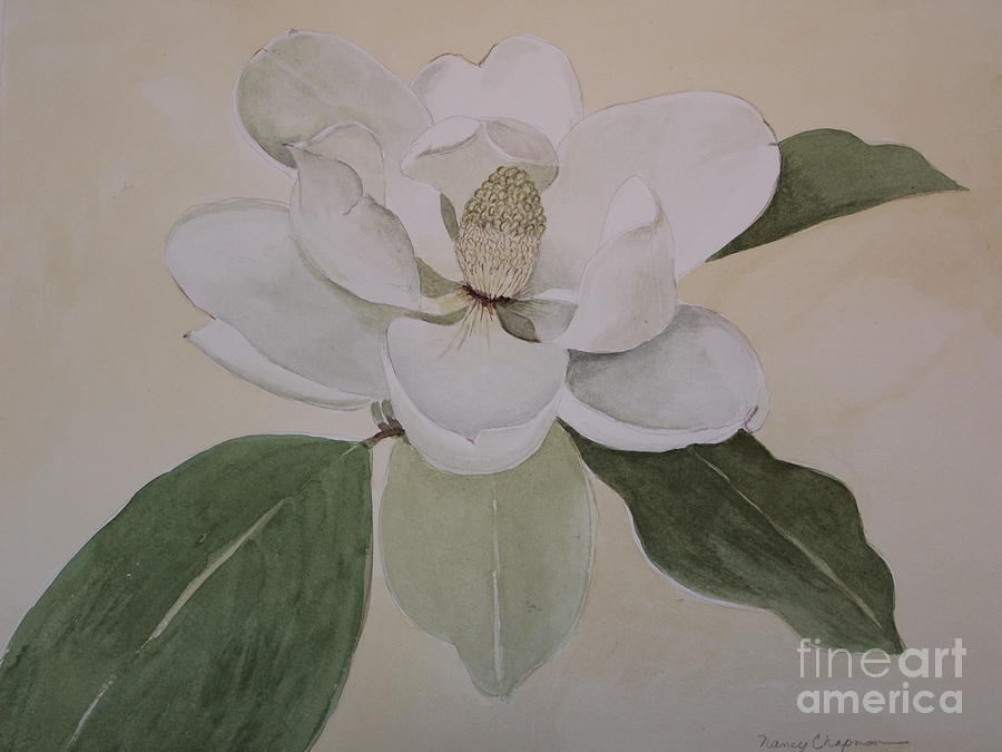 Magnolia Delight Painting by Nancy Kane Chapman
