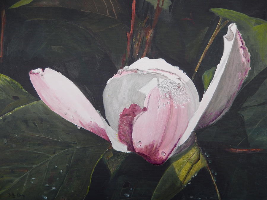 Magnolia flower Painting by Betty-Anne McDonald