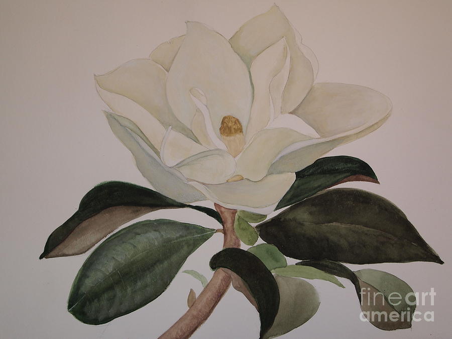Magnolia Grandiflora Painting by Nancy Kane Chapman