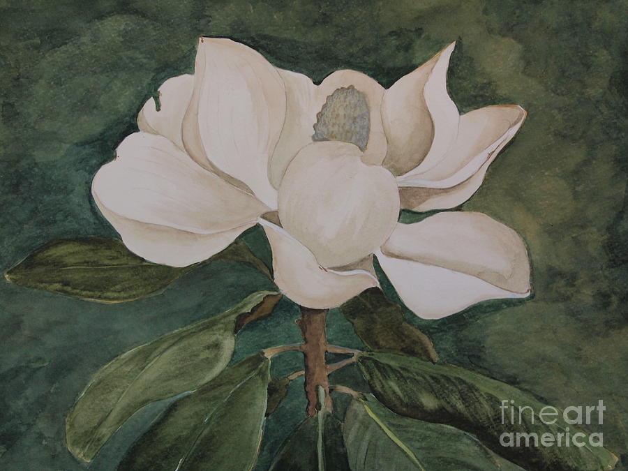 Magnolia Green Painting by Nancy Kane Chapman