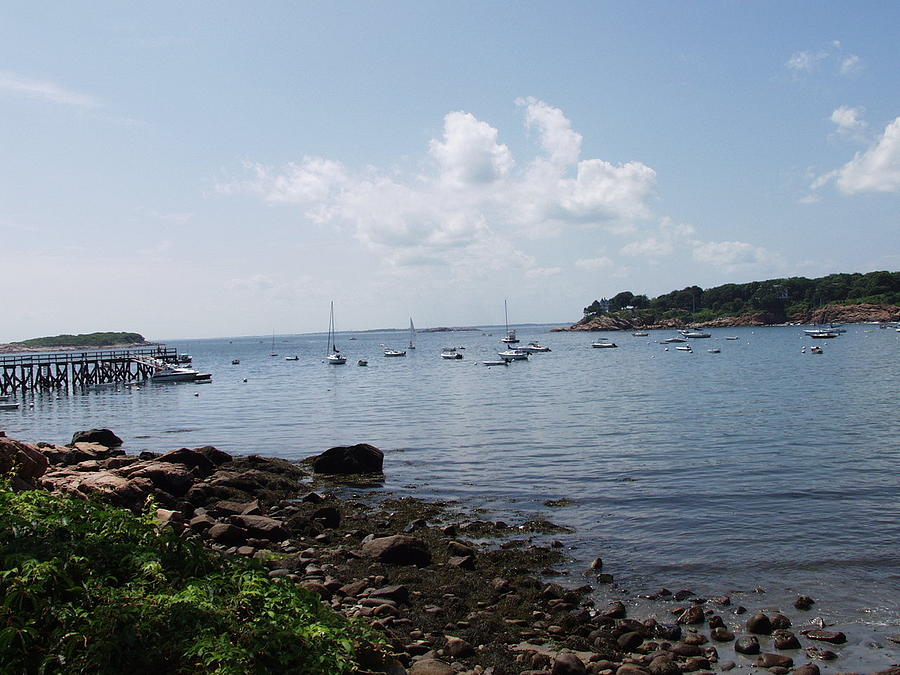 Magnolia Harbor Photograph by Elizabeth Joslin | Fine Art America