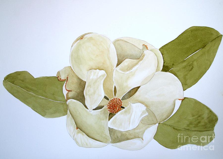 Magnolia Highlight Painting by Nancy Kane Chapman