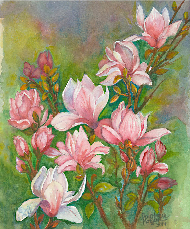 Magnolia in Eden Valley Painting by Dorothea  Morgan