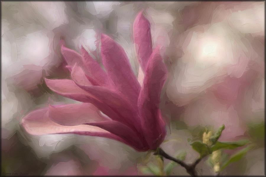 Magnolia in Oils Photograph by Erika Fawcett