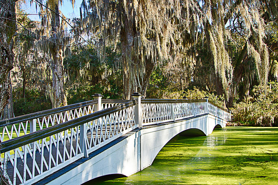 Magnolia Plantation Bridge Photograph by Bill Barber