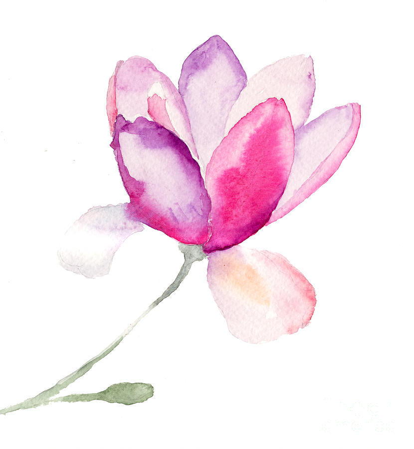 Magnolia Painting by Regina Jershova