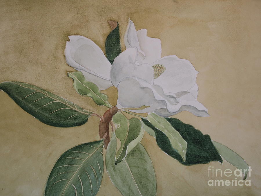 Magnolia San Marino Painting by Nancy Kane Chapman