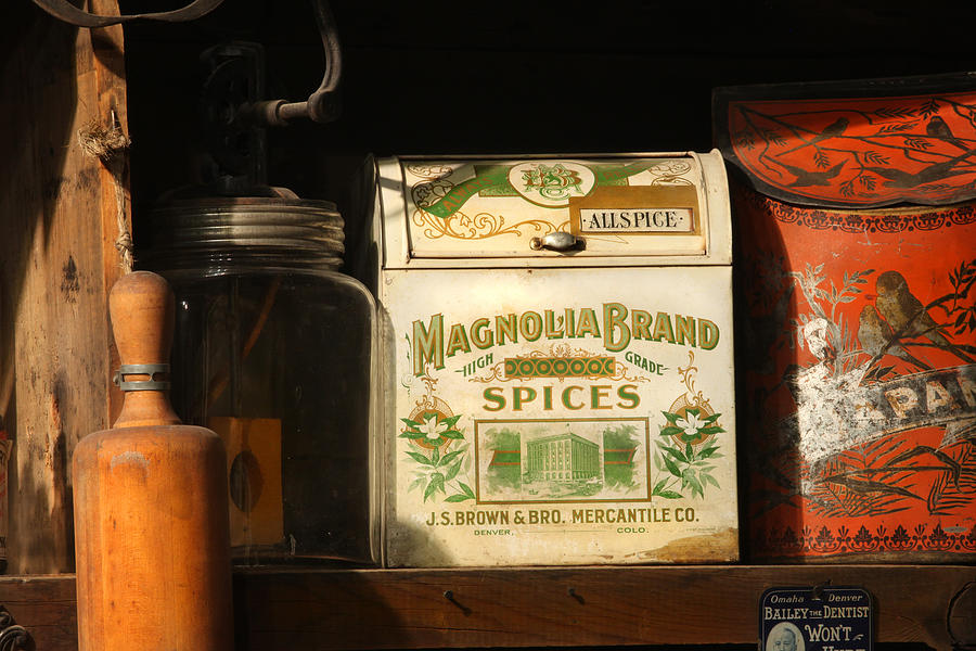 Magnolia Spices Photograph by Mike Flynn