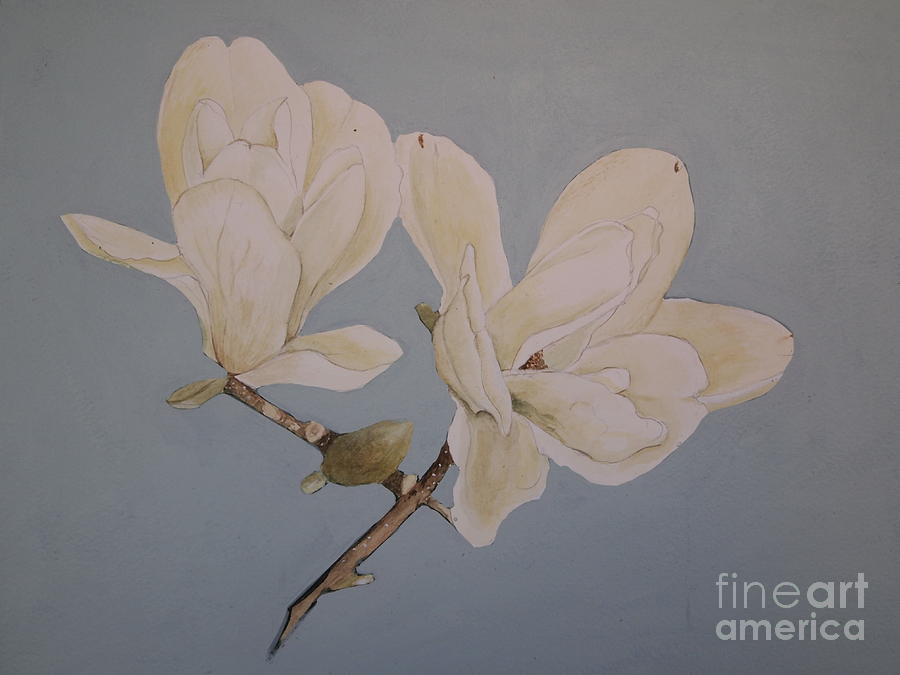 Magnolia Sun Ray Painting by Nancy Kane Chapman