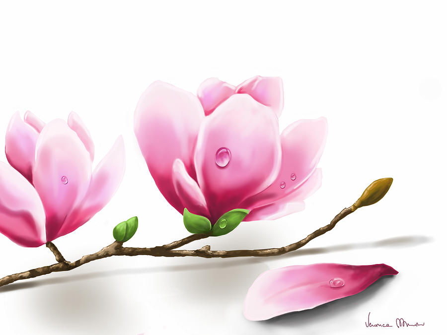 Magnolia Painting by Veronica Minozzi