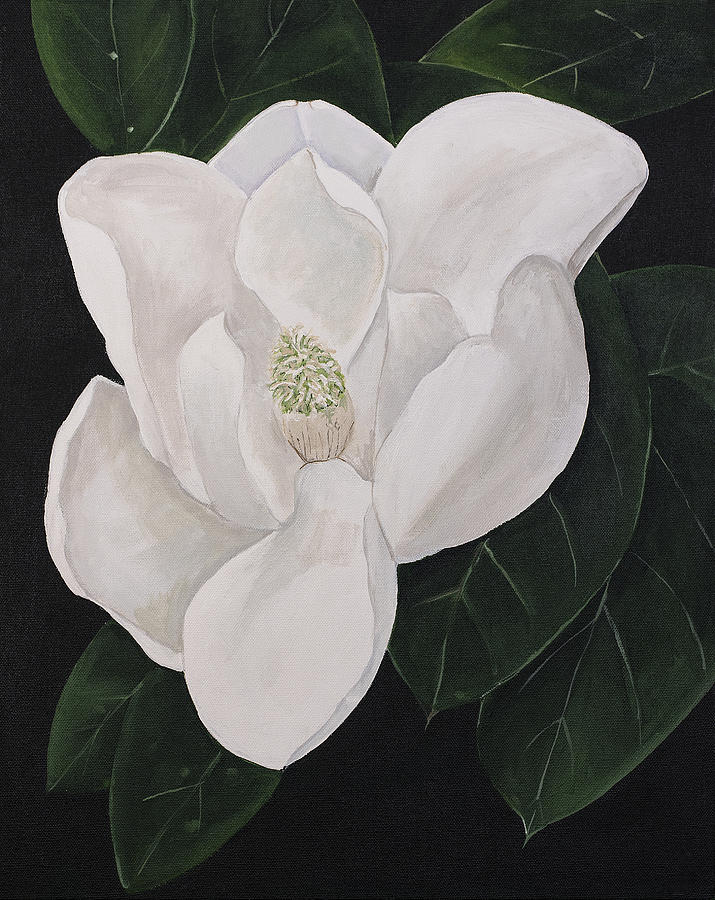 Magnolia Painting by Virginia McLaren