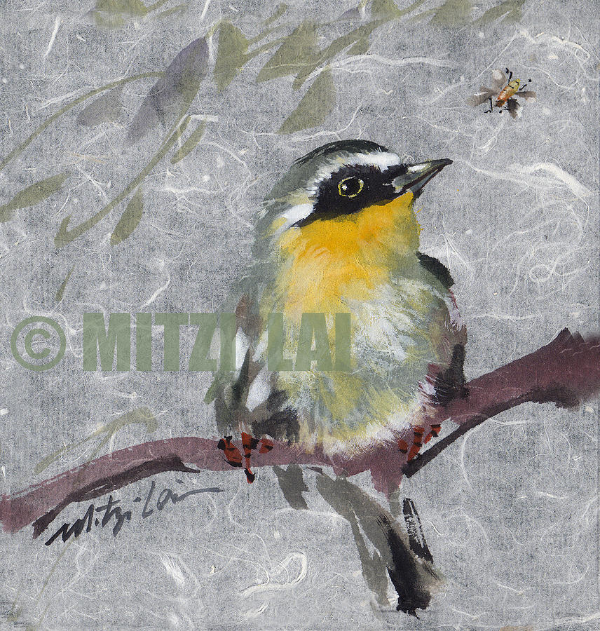 Warbler Painting - Magnolia Warbler by Mitzi Lai