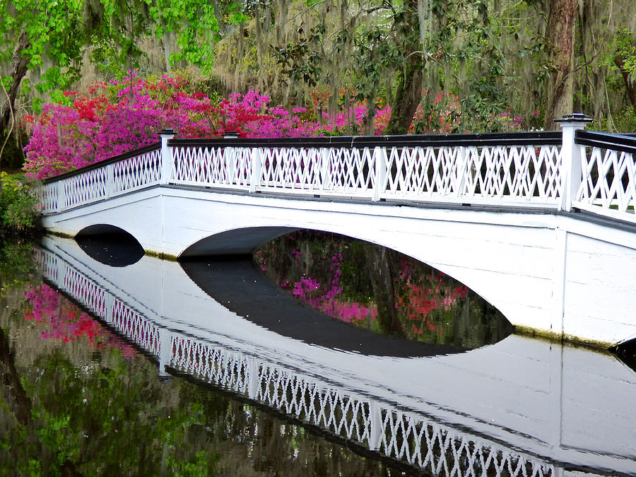 Magnolia White Bridge Photograph by Pat Exum