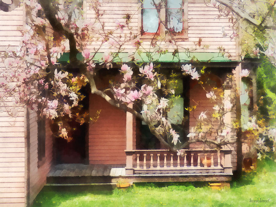 Magnolias by Back Porch Photograph by Susan Savad