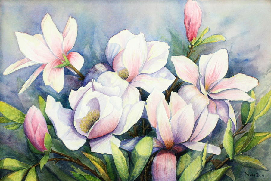 Flower Painting - Magnolias by Ursula Reeb