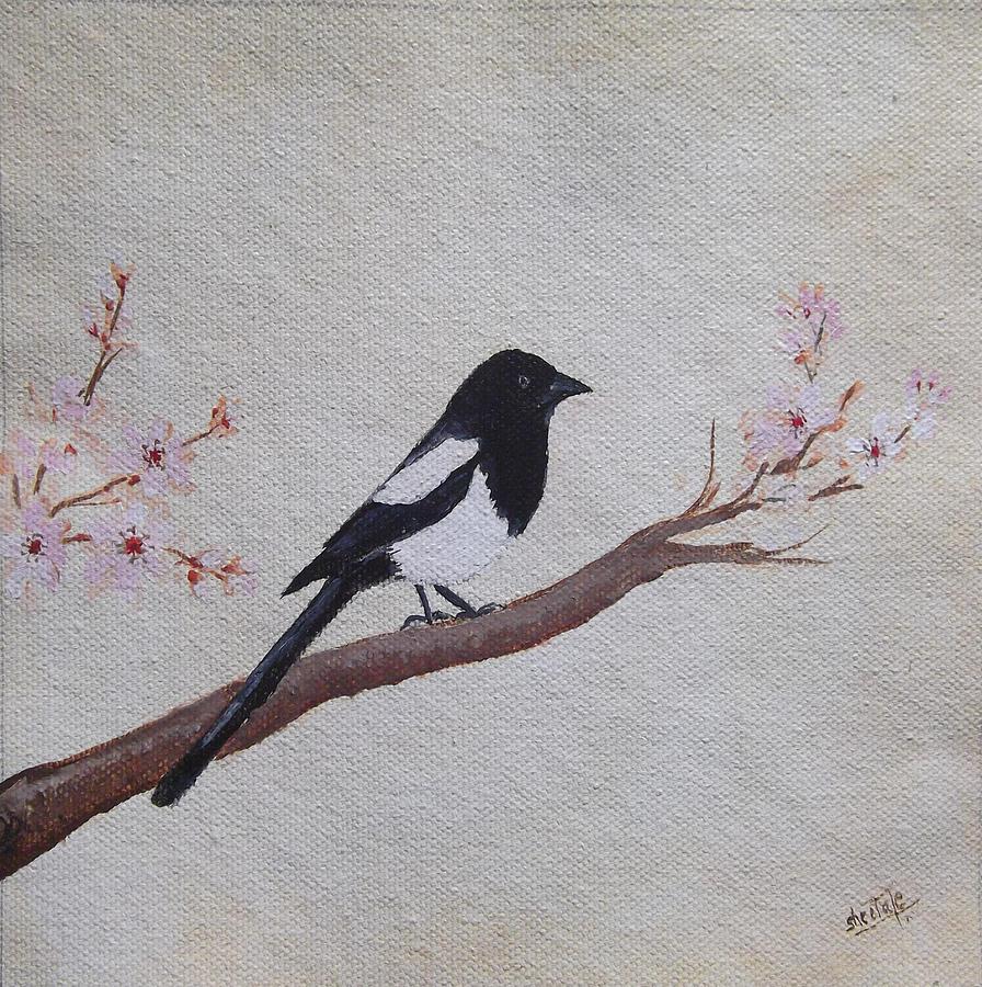 Bird Painting - Magpie On Cherryblossm Tree by Sheela Padmanabhan