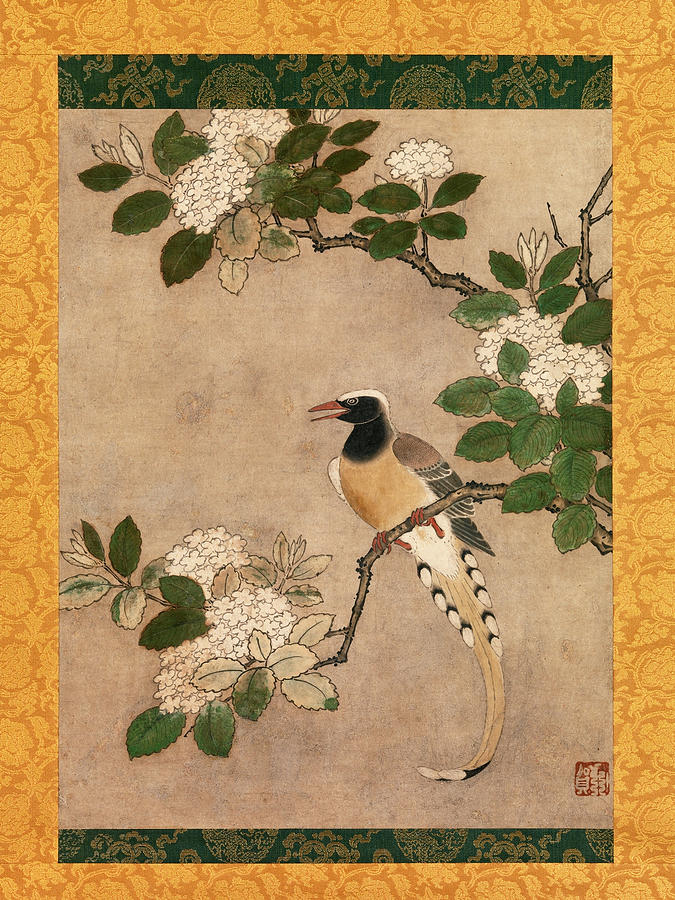 Magpie on Viburnum Branch Painting by Genga