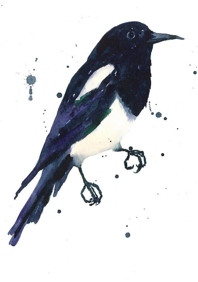 Bird Painting - Magpie Painting by Alison Fennell
