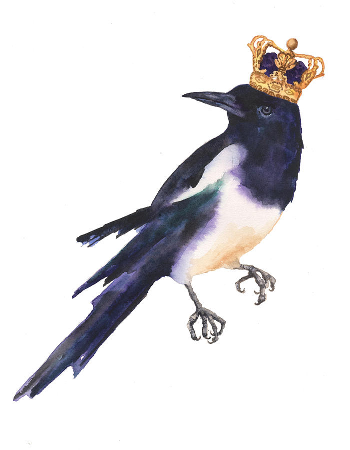 Magpies Painting - Magpie Watercolor by Alison Fennell