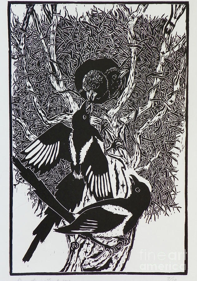 Bird Drawing - Magpies -- Woodcut Illustration for Corvidae by Dawn Senior-Trask